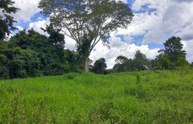 Imagem 1: Sítio 7 Alqueires Cultura em Água Limpa Goiás