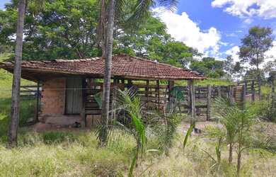 Imagem 13: Sítio 7 Alqueires Cultura em Água Limpa Goiás