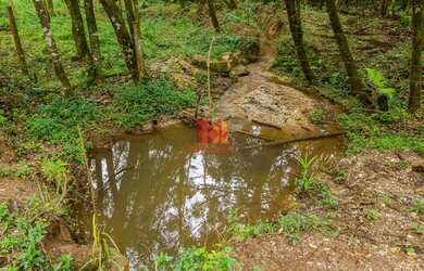 Imagem 8: ALMIRANTE TAMANDARE - Chácara - MARMELEIRO