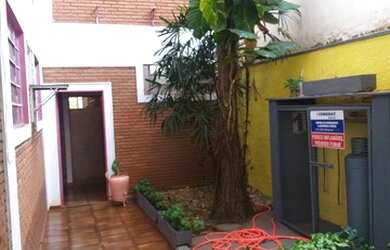 Imagem 3: Ribeirão Preto - Loja/Salão - Jardim Palma Travassos