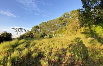 Imagem 7: Terreno à venda, 20686 m² por R$ 395.000 - Brejal- Petrópolis/RJ