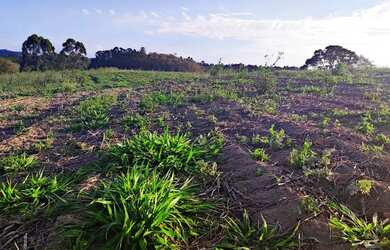 Imagem 12: Lote/Terreno para venda tem 500 metros quadrados em Jardim Tapajós -...