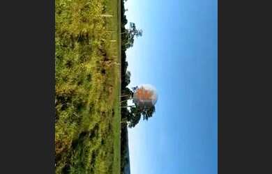 Imagem 4: Fazenda à venda, 113 alqueires por R$ 24.860.000 - Itarumã/GO