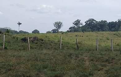 Imagem 6: Vende-se fazenda. 