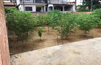 Imagem: O terreno está localizado em Santa Isabel, São Gonçalo à