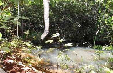 Imagem: A chácara está localizado em Jaboticatubas, MG à venda por