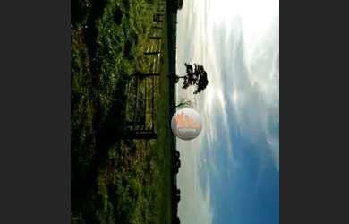 Imagem 6: Fazenda à venda, 113 alqueires por R$ 24.860.000 - Itarumã/GO