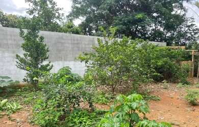 Imagem: O terreno possui 400m² de Área e está localizado em Boa