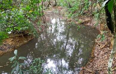 Imagem: A chácara está localizado em Jaboticatubas, MG à venda por