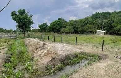 Imagem 3: Chácara de 10 mil m2 a 10 km de Bela Vista de Goiás