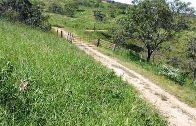 Imagem 1: Fazenda à venda, zona rural, São Miguel do Passa Quatro, GO