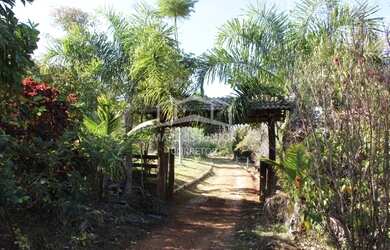 Imagem 15: Maravilhoso sítio na estrada da produção a 12 km de Moc todo formado