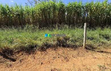Imagem 16: FAZENDA À VENDA - 100 HECTARES - MORRO DA GARÇA MG