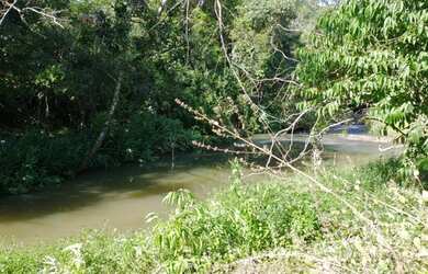 Imagem 15: Sítio / Fazenda 11,8242 ha próxima a Jeriquara- SP