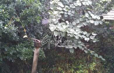 Imagem: O terreno possui 244m² de Área e está localizado em Santa