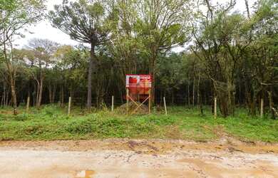 Imagem 1: ALMIRANTE TAMANDARE - Chácara - MARMELEIRO