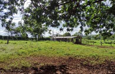 Imagem: A fazenda está localizado em Centro, Uberlândia à venda por