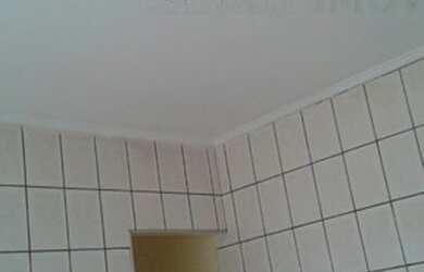 Imagem 7: Ribeirão Preto - Casa Padrão - Avelino Alves Palma