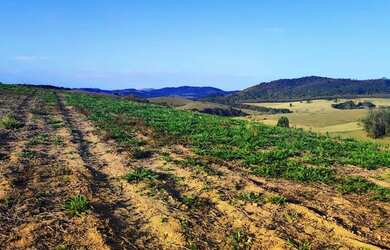 Imagem 16: Lote/Terreno para venda tem 500 metros quadrados em Jardim Tapajós -...