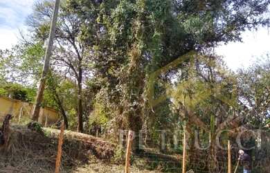 Imagem: O terreno possui 1.261m² de Área e está localizado em Holambra