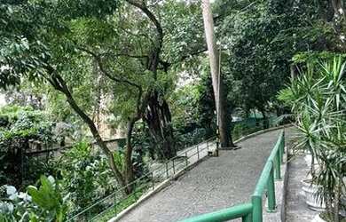 Imagem 3: Horto Florestal Apartamento Porteira Fechada 4 suítes 427m² Salvador Bahia