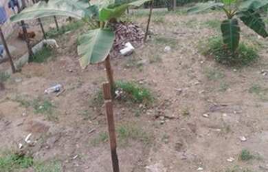 Imagem: A casa possui 1 Dormitório, 1 Banheiro e está localizado