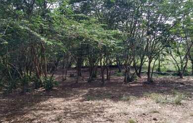 Imagem 4: Vende-se fazenda. 