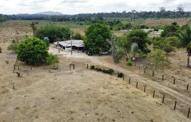 Imagem 14: Vende-se Fazenda - Iracema - RR