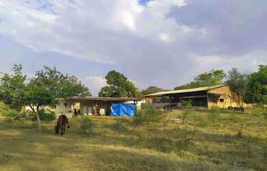 Imagem 4: Sítio à Venda, Floresta Escura, São Pedro, SP