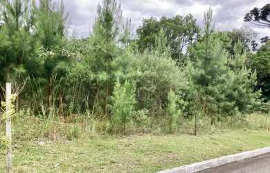 Imagem 5: Terreno - Bairro Dutra. 450m² de Área