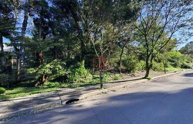 Imagem 2: Terreno à Venda em Gramado