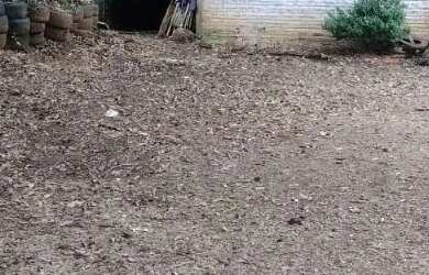 Imagem 16: Chácara a venda em Feliz