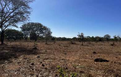 Imagem 9: Fazenda arrendamento 700hec pra abrir em aliança do Tocantins TO