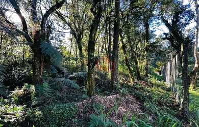 Imagem 4: Terreno à Venda em Gramado