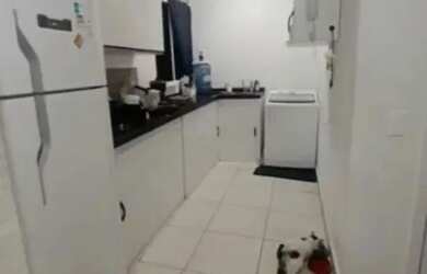 Imagem: O apartamento possui 2 Dormitórios, 1 Banheiro, 45m² de Área