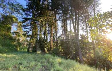 Imagem 6: Terreno à venda, 20686 m² por R$ 395.000 - Brejal- Petrópolis/RJ