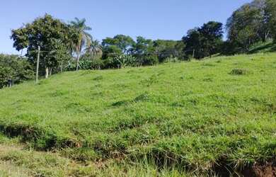 Imagem 9: Sítio / Fazenda 11,8242 ha próxima a Jeriquara- SP