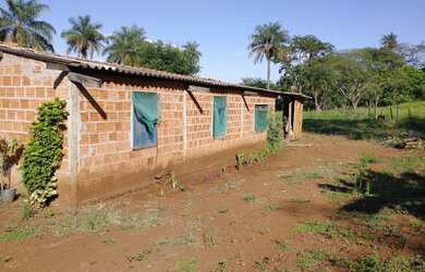 Imagem 5: Sítio / Fazenda 11,8242 ha próxima a Jeriquara- SP