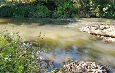 Imagem 13: Sítio / Fazenda 11,8242 ha próxima a Jeriquara- SP