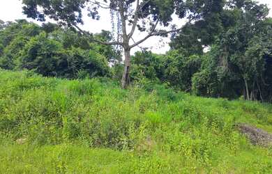 Imagem 8: Sítio 7 Alqueires Cultura em Água Limpa Goiás