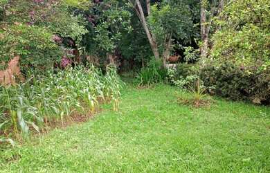 Imagem 3: Chácara em Nazaré Paulista com escritura para financiamento!!!