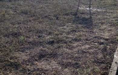 Imagem: O terreno possui 200m² de Área e está localizado em Tomba