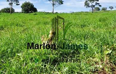 Imagem 1: FAZENDA EM JAUPACI-GO VENDA