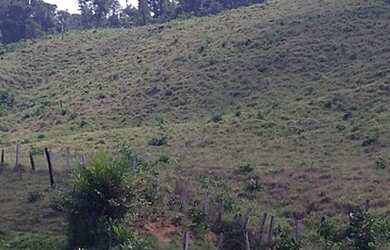 Imagem 1: Vende-se fazenda. 