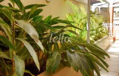 Imagem 3: Santo André - Apartamento Padrão - Vila Bastos