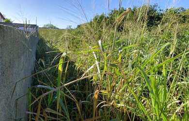 Imagem 6: Fator1887 Lote Fantástico Para Construtores - Na Fator Imóveis