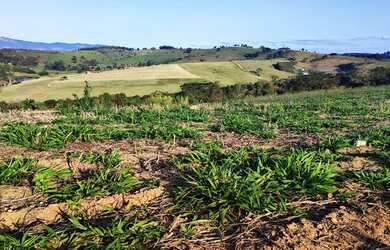 Imagem 10: Lote/Terreno para venda tem 500 metros quadrados em Jardim Tapajós -...