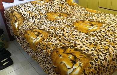 Imagem 7: Casa de Praia Casa com 4 dormitórios