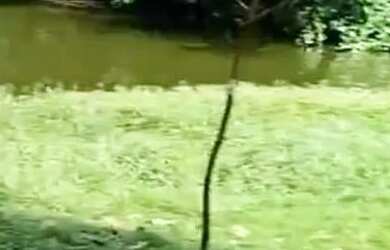 Imagem: O apartamento possui 3 Dormitórios, 3 Banheiros, 1 Vaga na