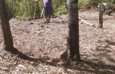 Imagem 6: Vende-se terreno Para sítio em Aruja